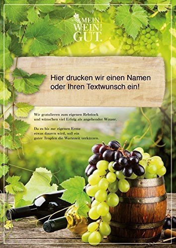 Wein Geschenk Mein WeinGut