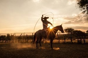 Amerikas Cowboys: Von den Prärien Nordamerikas bis in das Hochland der Anden