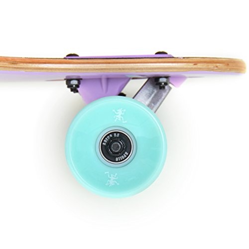 Apollo Longboard Tamana Komplettboard