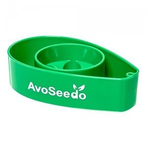 avoseedo Grow Your Own Avocado Baum