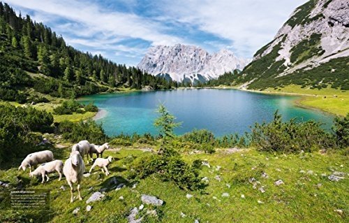 Bildband Alpen - Magie der Berge: Eine Reise durch unberührte Landschaften im Bildband mit faszinie