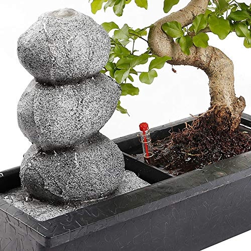 Bonsaiworld Bonsai-Set