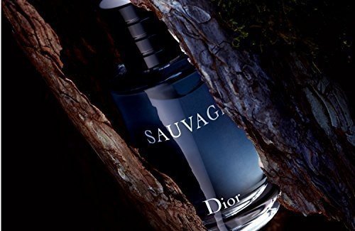 Christian Dior Eau de Toilette Herren Sauvage 100 ml