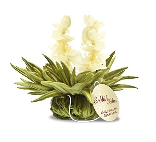 Creano Teelini Teeblumen im Tassenformat, Geschenkset in Teekiste aus Holz, 12 ErblühTeelini in 4 S