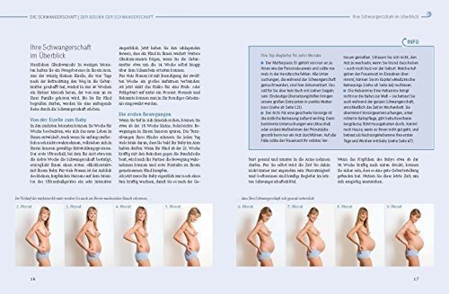 Das große Buch zur Schwangerschaft. Umfassender Rat für jede Woche