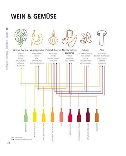 Der ultimative Wein-Guide: Zum Kenner in über 333 Grafiken