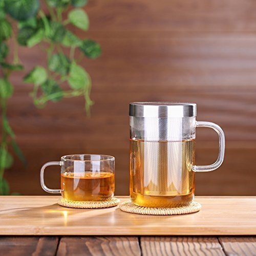 Ecooe Glas Tasse mit Metallsieb Teeglas Teebecher aus Borosilikat Teetasse 500ml (Volle Kapazität)