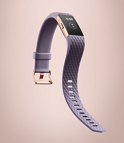 Fitbit Charge 2 Special Edition Unisex Armband Zur Herzfrequenz und Fitnessaufzeichnung, lavendel/ro