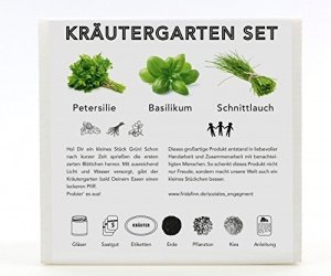Geschenkbox Set Kräutergarten - Mit 3 schönen Gläsern und 3 verschiedene Kräutersamen zum Zücht