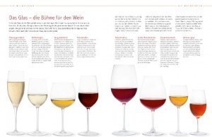 Grundkurs Wein: Alles, was man über Wein wissen sollte