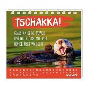 Kleiner Happy-Macher für dich! Mini-Kalender