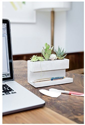 Large Concrete Desktop Planter