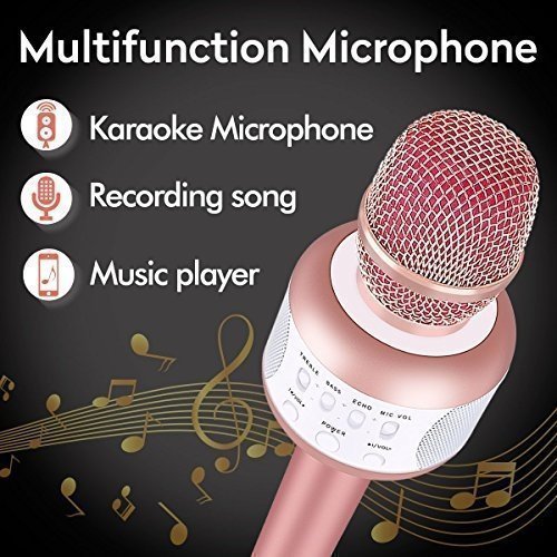 Leeron Bluetooth Karaoke Mikrofon mit Disco-Lichtern