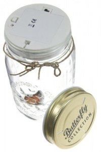 My Butterfly Jar