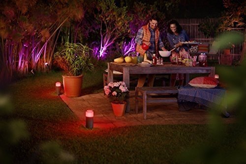 Philips Hue Calla Basis-Set