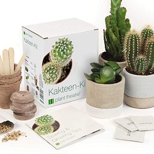 Plant Theatre Kakteen Kit