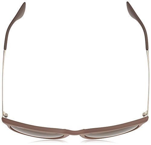 Ray Ban Unisex Sonnenbrille Erika, Gr. Medium (Herstellergröße: 54), Braun (Gestell: braun,silber,