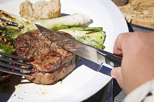 RÖSLE Steakmesser Set 4-teilig