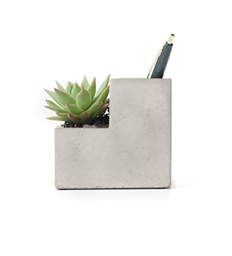 Small Concrete Desktop Planter