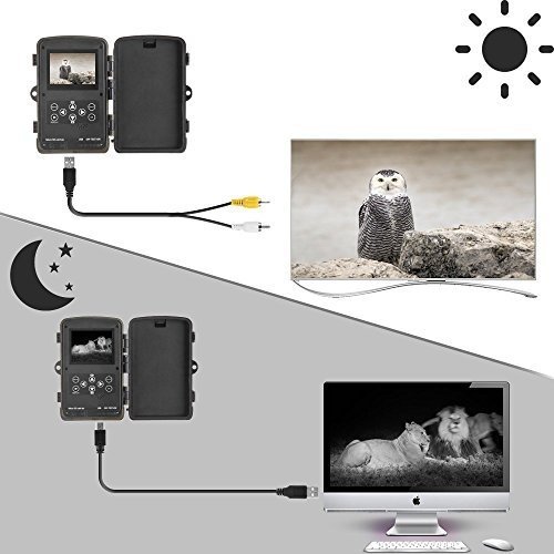 apeman Wildkamera, Coolife 16MP 1080P HD mit 125°Weitwinkel, IP56 Wasserdichte, 2.4 Inch LCD Digita