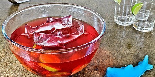 36 Coole Eiswürfelformen für den Sommer