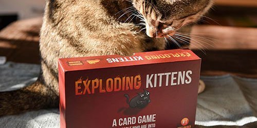 Exploding Kittens Kartenspiel im Test