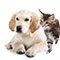 Tiere