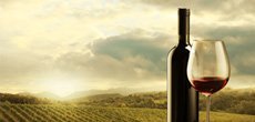 Geschenke mit Wein: das richtige Präsent für Genießer