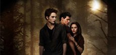 Für Twilight fans