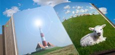 Wunderkarten – eine Individuelle Geschenkidee