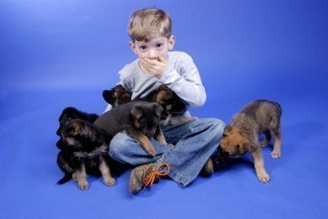 Tiere als Präsent zu Heilig Abend ungeeignet