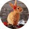 Ostern