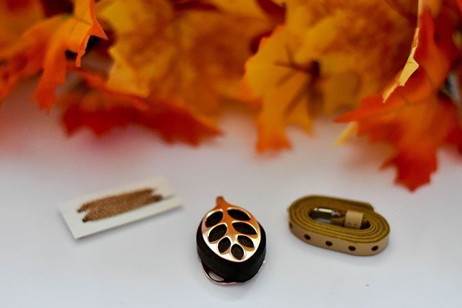 Neben Ihrem Anhänger erhalten Sie auch das passende Armband und eine Kette.