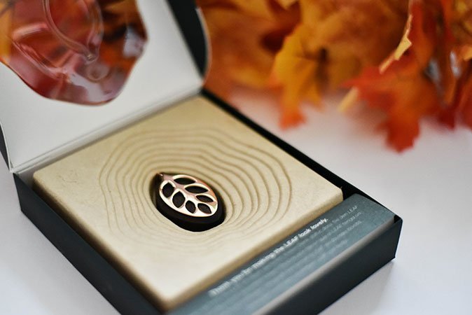 Der Anhänger wirkt in der Verpackung perfekt inszeniert.