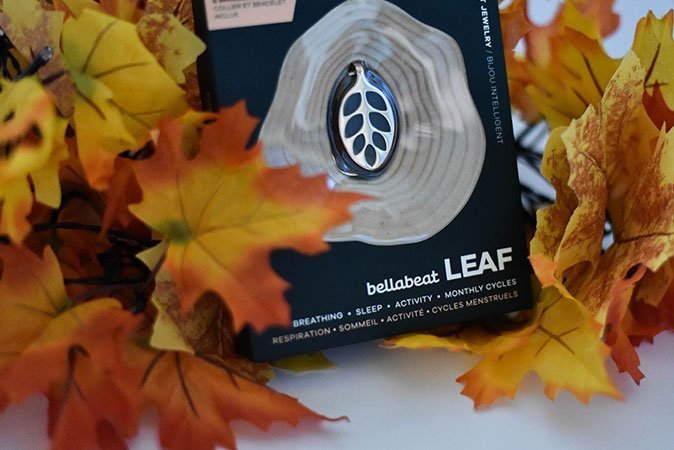 Jedes Detail stimmt.