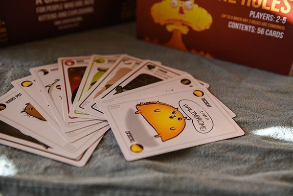 Diese Katzen sind gefährlich!