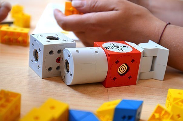 Drei Bewegungseinheiten ermöglichen verschiedenste Fortbewegungsarten