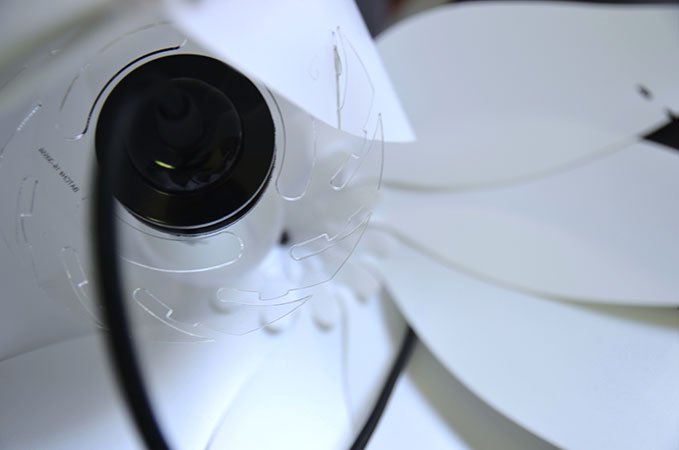 Die Blätter werden in einen Teller aus Hartplastik gesteckt