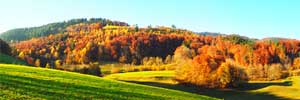 100+ Herbst Geschenke
