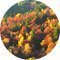 Herbst