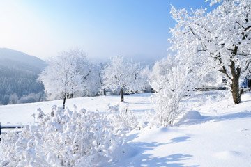 Geschenke für den Winter